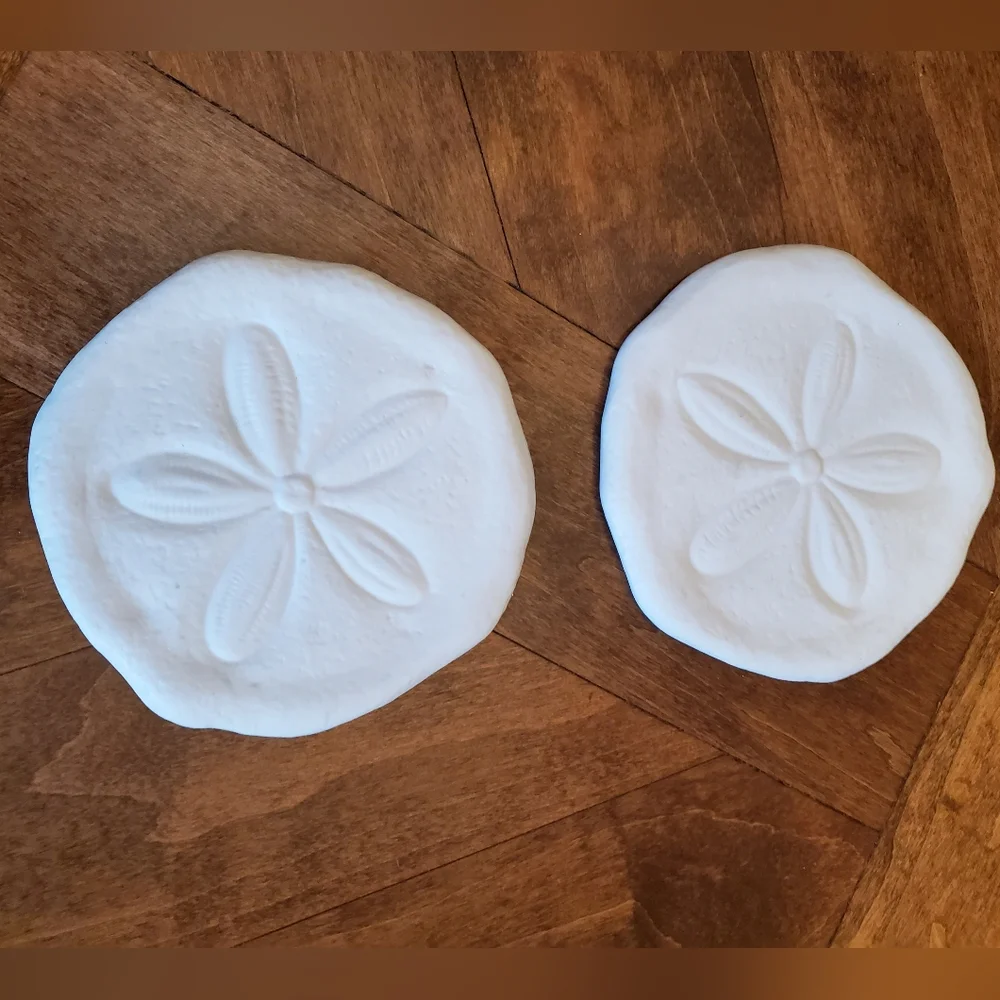 Kohls sand dollar